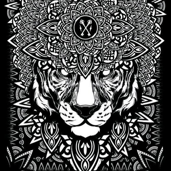 Meet your Posher, Kevin - Picture 1 of 1